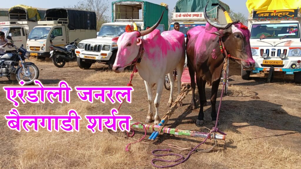 एरंडोली बैलगाडी शर्यत निकाल
