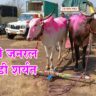 एरंडोली बैलगाडी शर्यत निकाल