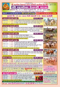 WhatsApp Image 2025 02 15 at 2.19.20 PM