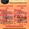 चाळोबा यात्रेनिमित्त भव्य जनरल बैलगाडी व भव्य  घोडागाडी शर्यत- वैरागवाडी मैदान