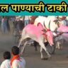 भव्य बैलगाडी शर्यत-बोमणाल पाण्याची टाकी मैदान