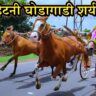 महाशिवरात्री व श्री जडेश्वर यात्रेनिमित्त भव्य घोडागाडी शर्यत – हिटणी मैदान