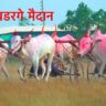 हौशी बैलगाडा संघटना वडरगे आयोजित  भव्य पाडा- बैल बैलगाडी शर्यत- वडरगे मैदान
