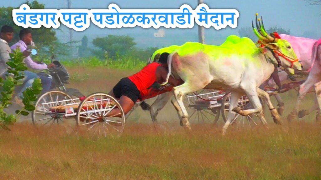भव्य बैलगाडी शर्यत – बंडगर पट्टा पडोळकरवाडी मैदान