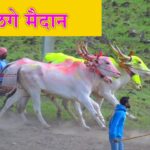 WhatsApp Image 2025 03 01 at 4.18.16 PM