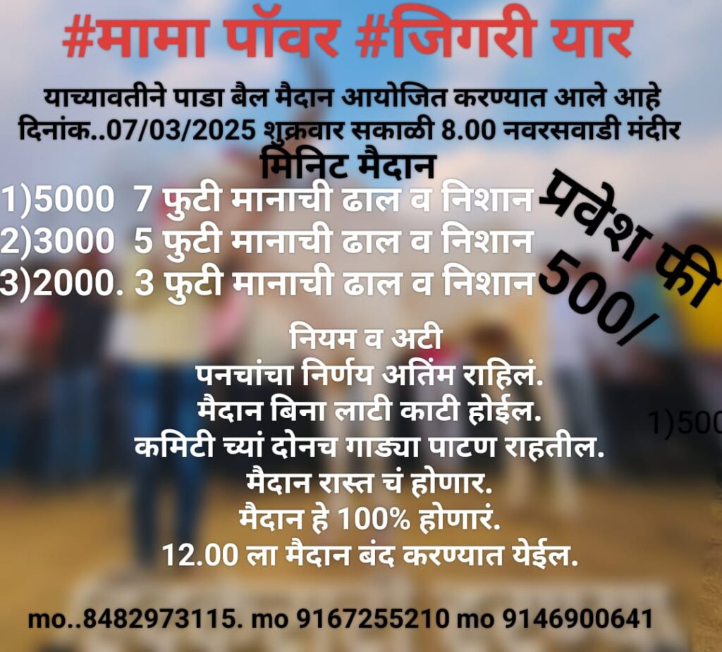मामा पॉवर जिगरी यार याच्यावतीने पाडा बैल शर्यत -नवरसवाडी मैदान