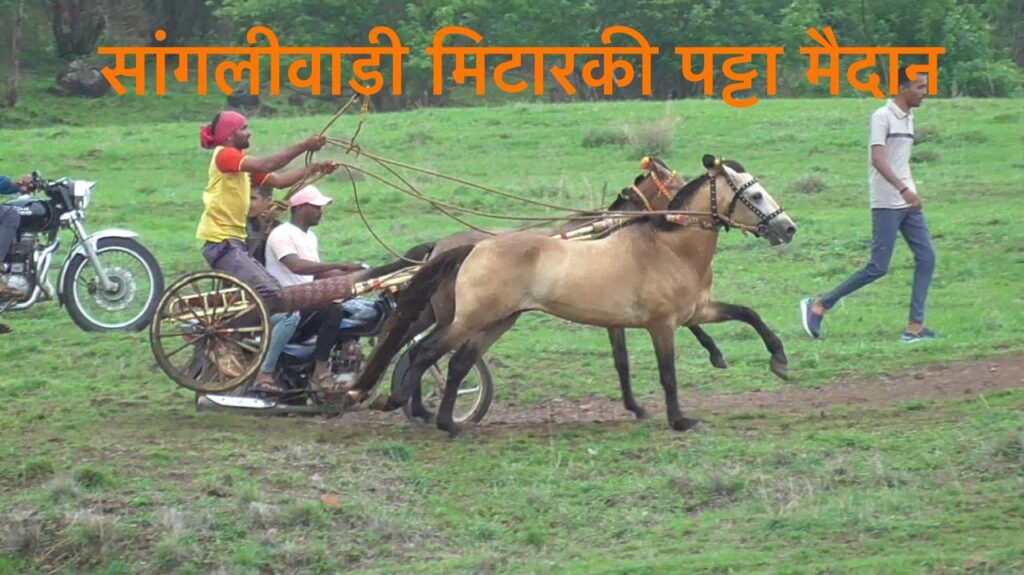 ओंकार सुर्यवंशी यांच्या वाढदिवसानिमित्त भव्य दिव्य घोडागाडी शर्यत – सांगलीवाडी मिटारकी पट्टा मैदान