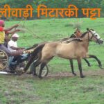 WhatsApp Image 2025 03 03 at 6.16.47 PM 1