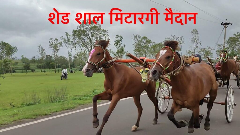 महादेव  यात्रेनिमित्त  भव्य दिव्य घोडागाडी शर्यत-शेड शाल मिटारगी मैदान