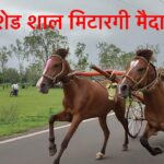 WhatsApp Image 2025 03 03 at 6.30.22 PM