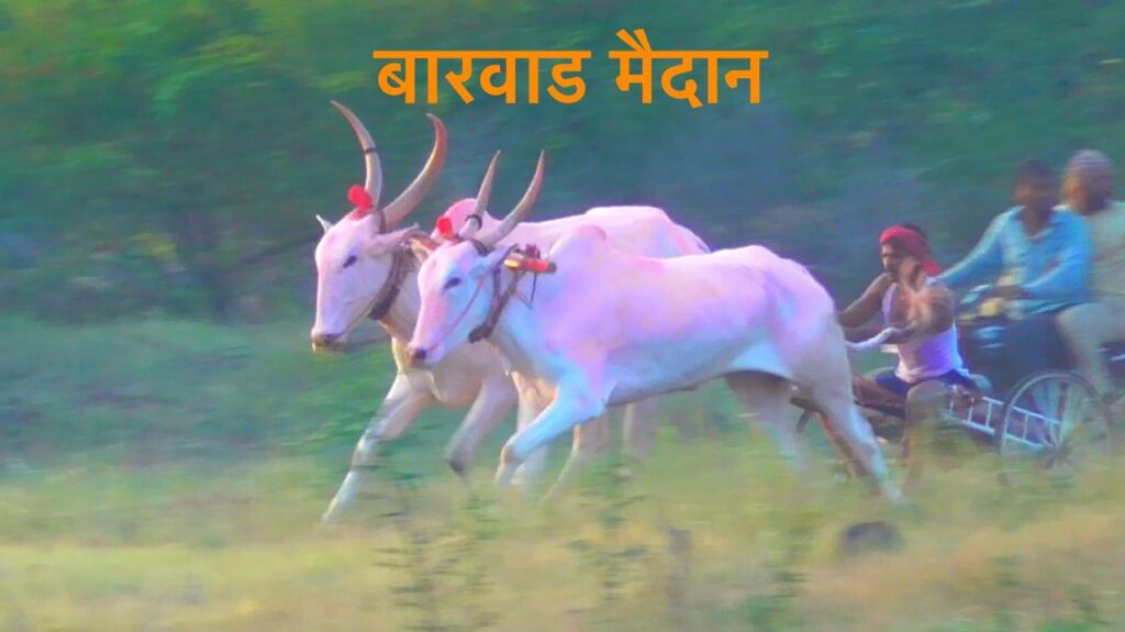 श्री विठ्ठल बिरदेव यात्रेनिमित्त भव्यदिव्य बैलगाडी व घोडागाडी शर्यत-बारवाड माळ मैदान