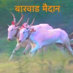 WhatsApp Image 2025 03 08 at 7.39.19 PM
